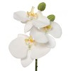 Floral Home 10" White Phalaenopsis Pick - 12-Piece - 2 of 2