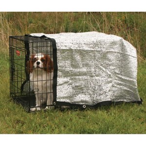 Proselect Solar Canopy 6x6Ft - 1 of 1