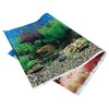 Unique Bargains Aquarium Background Poster Double-sided Fish Tank Background Decorative Pictures PVC 1 Pc - 3 of 4