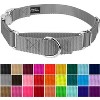 Country Brook Petz Heavyduty Nylon Martingale with Premium Buckle - 3 of 4