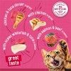 Friskies Tuna, Chicken, Fish, Beef, Salmon and Seafood Flavor Variety Pack Gravy Wet Cat Food - 16.5lbs/48ct - 4 of 4