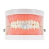 Unique Bargains Hip Hop Pointed Fake Grills 1 Pc - 2 of 4