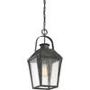 Quoizel Lighting Carriage 1 - Light Pendant in  Mottled Black - 4 of 4