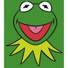 Boy's The Muppets Kermit Costume Tee T-Shirt - 2 of 4