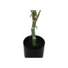 Maggift Artificial Plant Dieffenbachia Tree Indoor Faux Fake Floor Greenery Potted Real Touch Decorative Green Leaves Black Pot, Green, 27"*26"*54" - 3 of 4