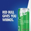 Red Bull Green Edition Energy Drink - 12 fl oz Can - 4 of 4