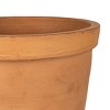 Think Rim Terracotta Planter - Foreside Home & Garden - 3 of 4