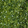 Artificial Grass Wall Panel Backdrop,wood UV Protection Privacy Coverage Panels,abstract,green,12.20" x 20",1.02*1.67ft - 3 of 4