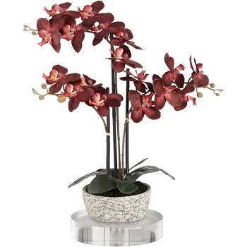 Studio 55D Potted Faux Artificial Flowers Realistic Red Orchid in Gray Vase with Acrylic Riser for Home Decor Living Room 24" High