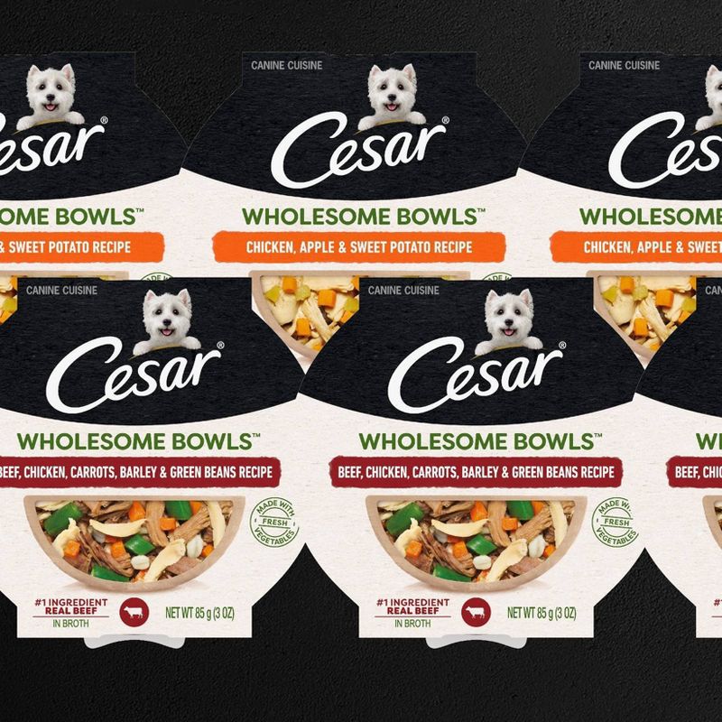 Cesar Wholesome Bowls Wet Dog Food - 3oz/6ct
, 4 of 12