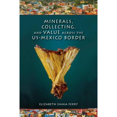 Minerals, Collecting, and Value Across the U.S.-Mexico Border - (Tracking Globalization) by  Elizabeth Emma Ferry (Paperback)
