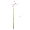 Nature Spring Faux Calla Lily Bundle - 24, Coral - image 3 of 4