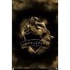 Trends International Harry Potter - Hufflepuff Crest Magic Unframed Wall Poster Prints - 4 of 4