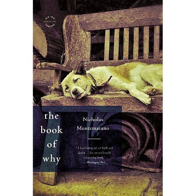 The Book of Why - by  Nicholas Montemarano (Paperback)