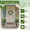 38 Inch Flower 2 Pack Artificial Camellia Tree,  Faux Floral Plant Blooming Tree in Cement Pot, Greenery Potted Plant for Indoor Outdoor Office Home - 4 of 4