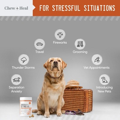 Chew + Heal Anxiety and Stress Relief Chicken Dog Calming Aid