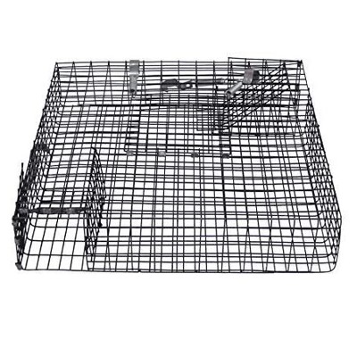 Rugged Ranch CHPTO Chipmunkinator Live Chipmunk Squirrel Rat Mouse Rodent Small Animal Metal Wire 2 Door Trap Cage, Black