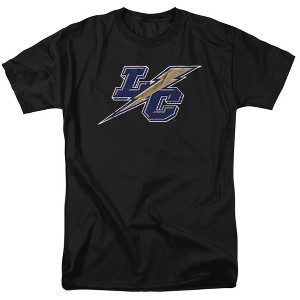 Men's Lehman College Official Distressed Primary Logo T-Shirt - 1 of 4