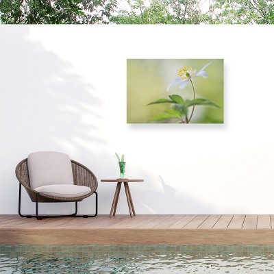 Trademark Fine Art - Heidi Westum Spring light Matted Framed Art