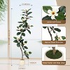 7FT Indoor Artificial Plant,Tall Faux Olive Tree with Includes Black Tall Planter, Artificial Plants Indoor for Home Office - 2 of 4