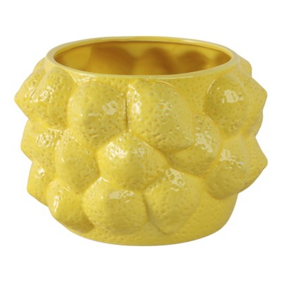 Cheerful Planter Pot Perfect for Indoor or Outdoor Herbs, Ferns, or Succulents - Modern Pot for Indoor - Great for Garden and Patio Decor