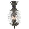 Acclaim Lighting Lanai 3 - Light Wall Light in  Black Coral - 4 of 4