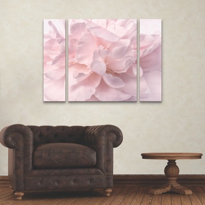 Large Pale Pink Peony Petals Multi Panel Canvas Art Set