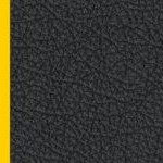 oakland as 1971-1981