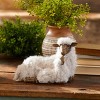Furry Sheep with Lamb Figurine 11'H - 2 of 2