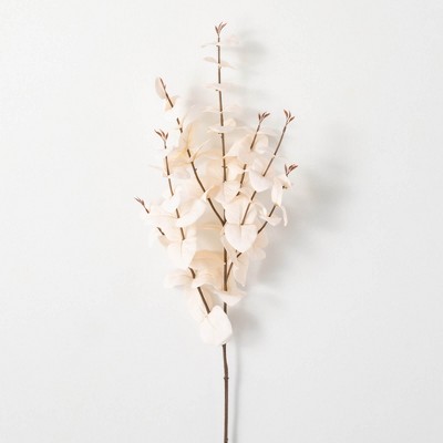 35.5"H Sullivans Cream Silver Dollar Eucalyptus, Cream