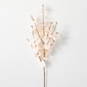 35.5"H Sullivans Cream Silver Dollar Eucalyptus, Cream - 1 of 4