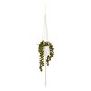 Juvale 2 Pack Hanging Artificial String of Pearls with Ceramic Pot Macrame Hanger, Faux Fake Plant for Wall Decor, 31 in - image 4 of 4