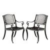 PAGED Set of 2 Patio Dining Chairs,Outdoor Dining Chairs with Traditional Design,Aluminum Chairs for Suitable for Patio,Garden - 2 of 4