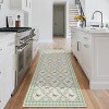 Acekool 2x6 Green Floral Rug - Washable Non-Slip Indoor Runner with Butterfly Pattern for Living Room, Bedroom, Kitchen - 2 of 4