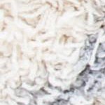 ivory/grey