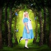 Traditional Alice Adult Costume - 4 of 4