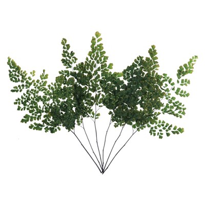 Vickerman 6-10" Oasis Green Fern - Adianthum - Petite Variety, 6 stems, Preserved