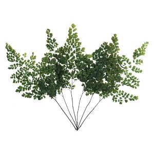 Vickerman 6-10" Oasis Green Fern - Adianthum - Petite Variety, 6 stems, Preserved - 1 of 4