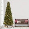 Puleo 12' Pre-Lit LED Full Monroe Fir Artificial Christmas Tree Warm White Lights - 2 of 3