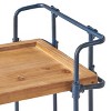 Eden Firwood and Iron Bar Cart - Antique Finish - Christopher Knight Home: Weather-Resistant, 2 Shelves - 4 of 4
