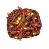 Novelty Lights 25 Feet 50 Light Brown Wire LED Christmas Lights Outdoor, Commercial Grade, 5mm Bulbs, UL Listed, Connectable up to 1075 Feet - 2 of 4