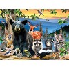 MasterPieces 100 Piece Jigsaw Puzzle - Great Smoky Mountains National Park - 3 of 4