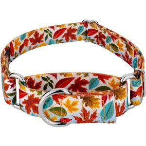 Country Brook Petz Martingale Dog Collar - Awesome Autumn Collection - 1 of 4