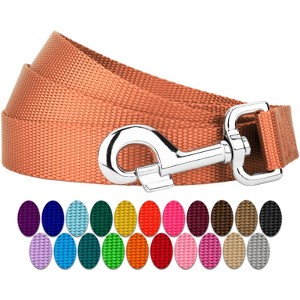 Country Brook Petz 1 Inch Everyday Nylon Dog Leash - 25+ Colors - 1 of 4