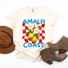 Simply Sage Market Amalfi Coast Red Checkerboard Garment Dyed Tee - 3 of 4