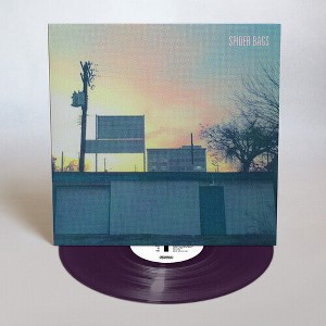 Spider Bags - Someday Everything Will Be Fine (Vinyl) - 1 of 1
