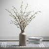 Sullivans Artificial 39" Pussywillow Spray - 3 of 3