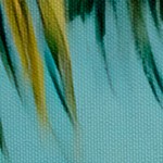 breezy coastal hammock