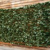 Aghana Digitals PE Artificial Ivy Hedge Screen, Decorative Privacy Fence with Tightly Attached - 3 of 4
