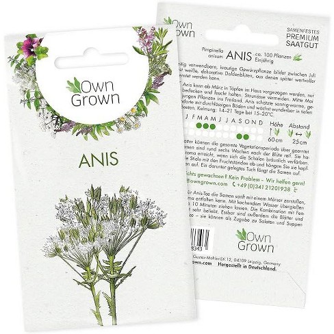 OwnGrown Premium Anise Seeds for Growing 100 Aromatic Anise Plants - image 1 of 4